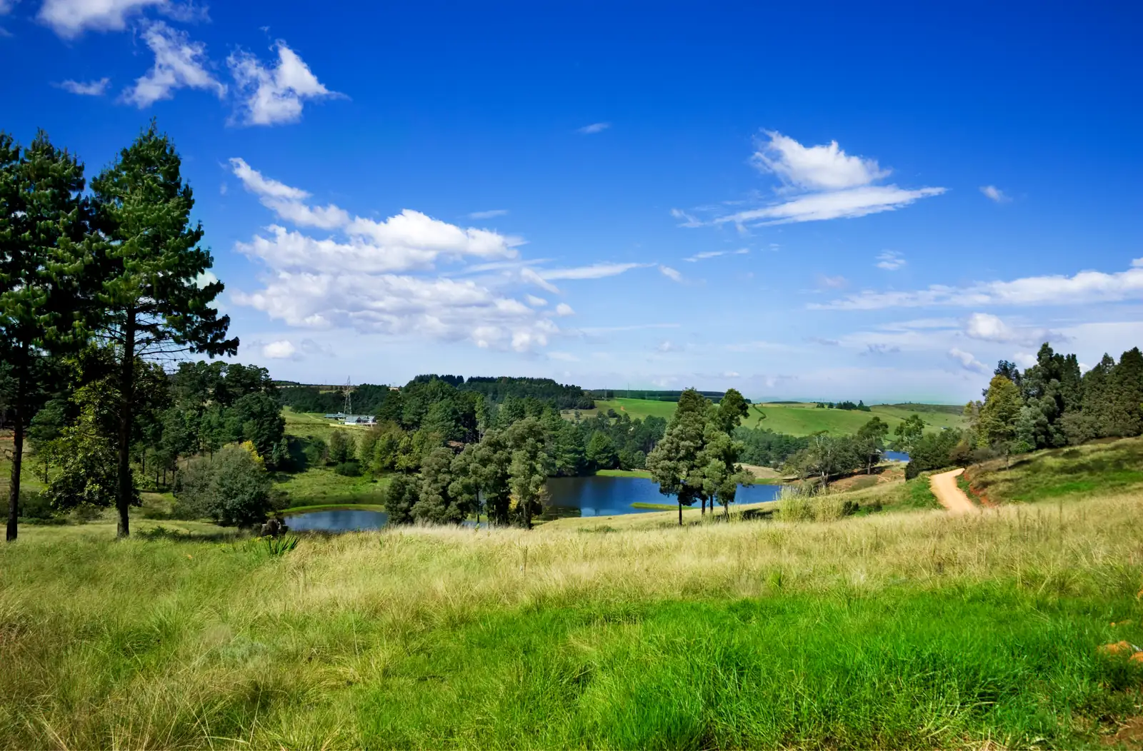 Harmony Retreat - farm, dam and rolling hills in the KwaZulu-Natal Midlands